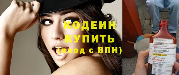 индика Пестово