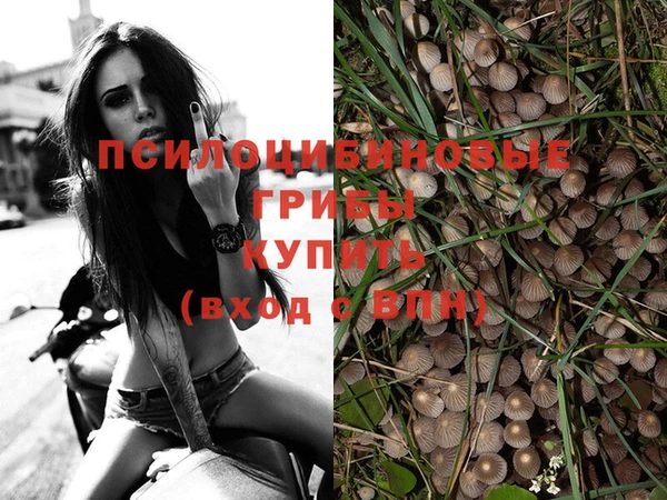 скорость Алексеевка